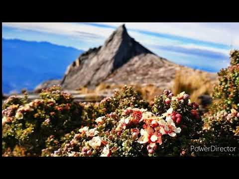 Julius Jiwat Sodomon-Hangadku Diozu