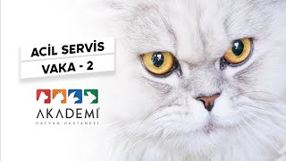 Acil Servis Vaka - 2 | Akademi Hayvan Hastanesi
