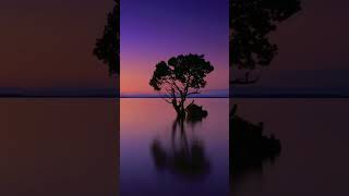 Download lagu ALLAH Hi ALLAH kiya karo💫 #islamic #madina #islam #viral  #youtubeshorts #shortsfeed #muhammad #best mp3