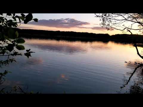 Twameva Mata - Sudha & Maneesh de moor