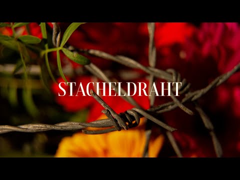 JAS - Stacheldraht (Official Visualiser)
