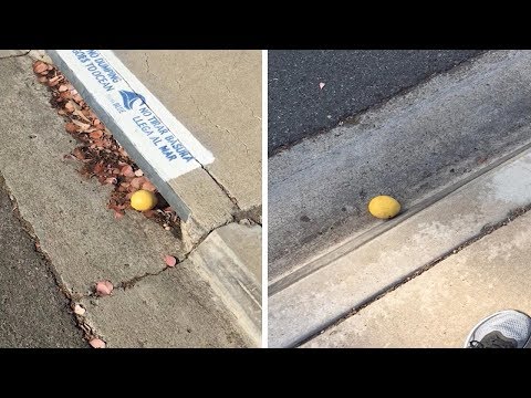 Chasing A Lemon For A Quarter Mile