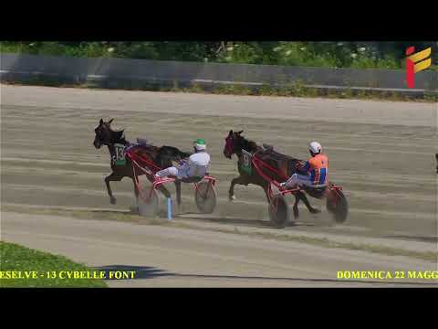 I corsa del 22 Maggio 2022 - 4 Anni - Metri 1600 - Gentlemen