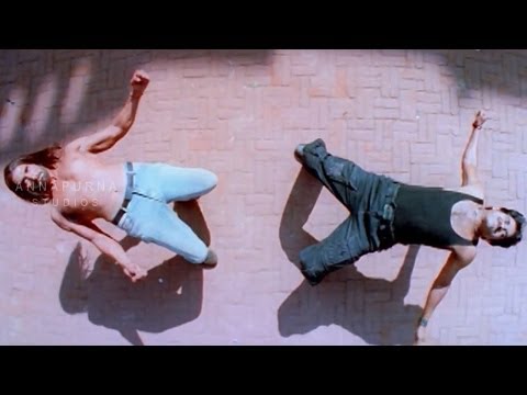 Rahul Dev & Nagarjuna Climax Fight Scene || Mass Movie