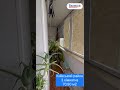 Видео превью