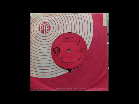 Tommy Quickly and The Remo 4 - The Wild Side of Life 1964 Pye 7N.15708 a-side) Vinyl Rip