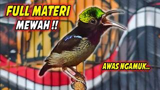 Download lagu PANCINGAN KONIN GACOR FULL ISIAN ROLL TEMBAK MEWAH !! MASTERAN KOLIBRI NINJA BAHAN AGAR CEPAT EMOSI mp3