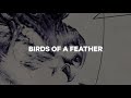 CAPiTA Birds Of A Feather Snowboard - video 0