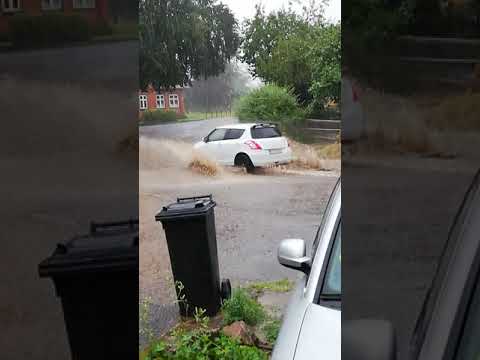 Skybrud 30. juli 5471