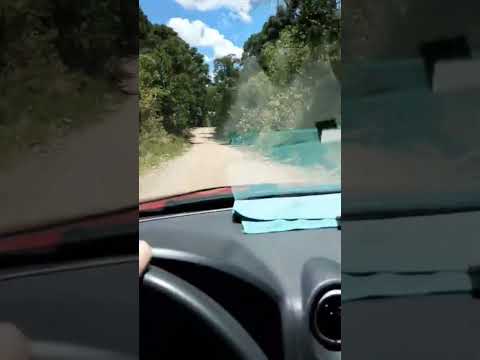 Cambará do Sul... é bonito não adianta ❤️🤠 #canions #cambaradosul #interior