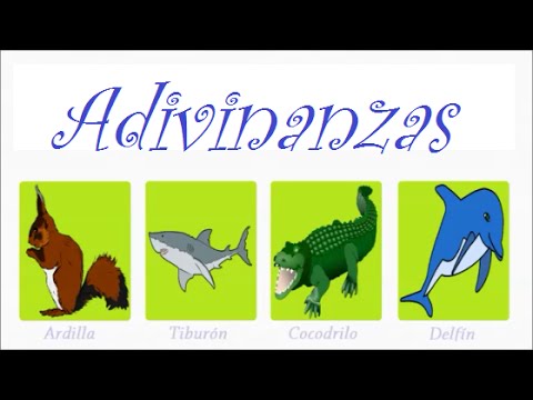 download lagu mp3 mp4 Adivinanza De La Ballena, download mp3 Adivinanza De La Ballena free download mp3, download mp3 Adivinanza De La Ballena