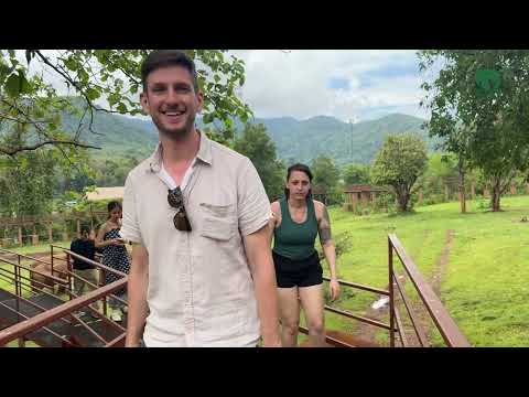 SkyWalk at Elephant Nature Park