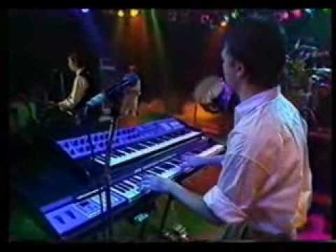 The Nits - Panorama man (live 1988)