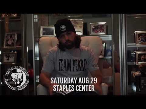 Perro Promotions - Conocer El Perro