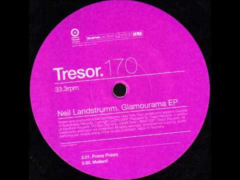 Neil Landstrumm - Mallard