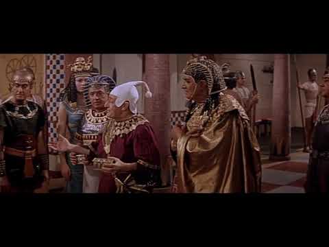 Totò - Una mezza calzetta qualsiasi