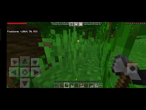 Ho trovato i diamanti e l'ametista -Minecraft vanilla-