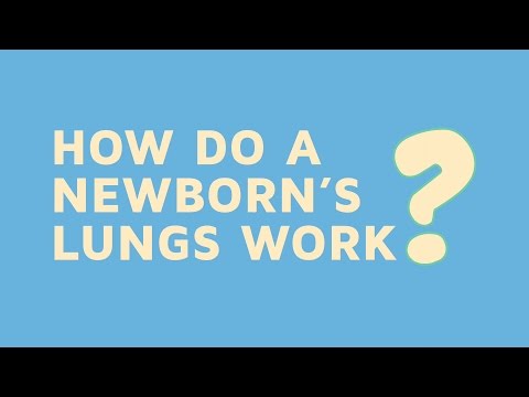 How Do A Newborn's Lungs Work?