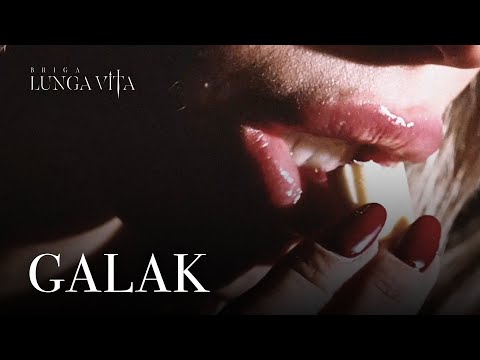 BRIGA - GALAK (Visual)