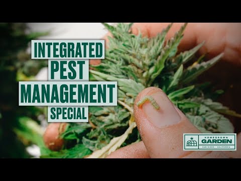 LEARN PEST CONTROL WITH AN IPM EXPERT!