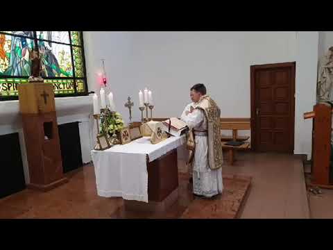 Dominica IV. post Pacha