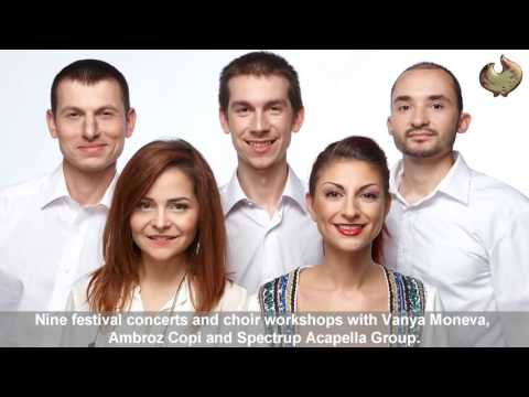Promotional video