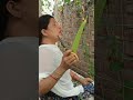 ️ ️ ️Good Morning Reel Video