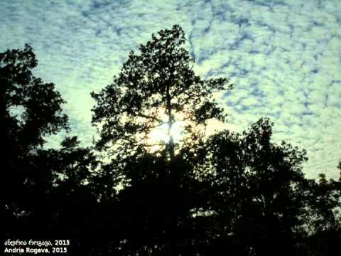 Georg  Böhm (1661-1733)  - Sarabanda in F-moll