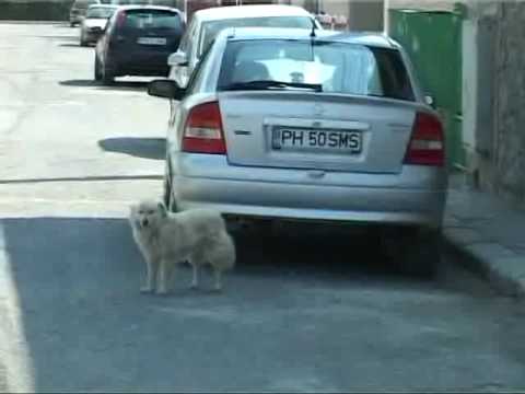 A cerut sprijinul colegilor