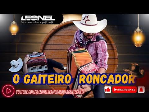 OLHA A VANEIRA / GAITEIRO RONCADOR - Os Filhos do Rio Grande