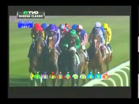 2013 Dubai Sheema Classic   St Nicholas Abbey