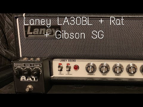 Laney LA30BL + ProCo Rat 2 + Gibson SG