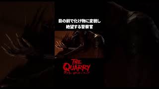 皮膚どうなってんの【クアリー 悪夢のサマーキャンプ】