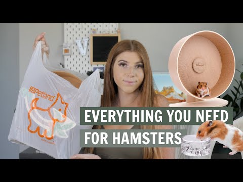 Everything you NEED for a Hamster
