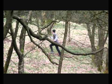 PFO/SELOC Junior training in the forest.