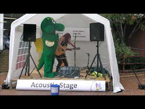 Horsham festival of Sound- Acoustic Stage