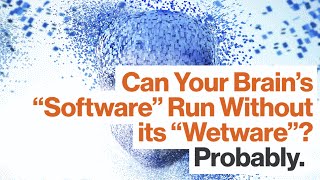 David Eagleman: Can a Computer Simulate Consciousness?