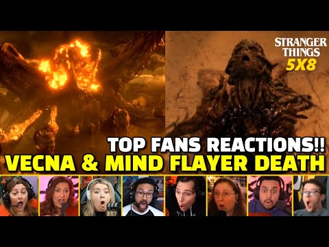 BATsy Compilations and BATsy Reacts