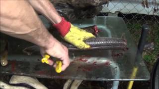 GAR FISH. Catching, Cleaning and Cooking.  This is how its done!