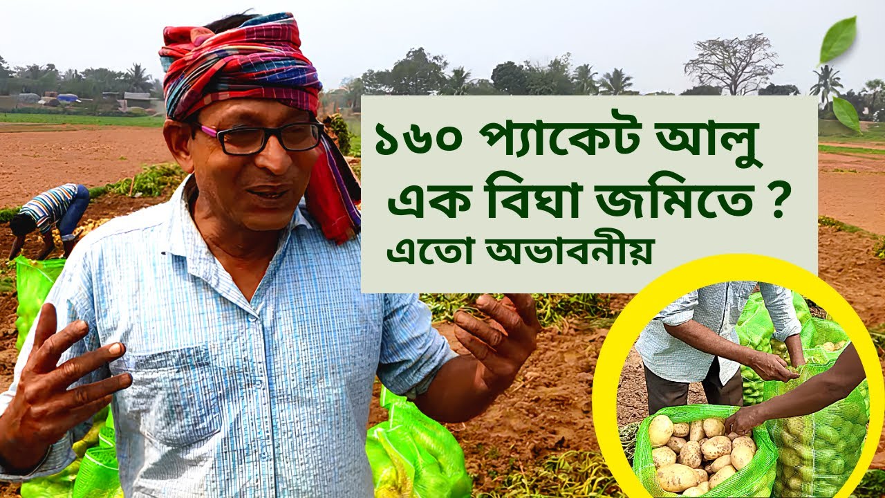 Potato Farming Techniques