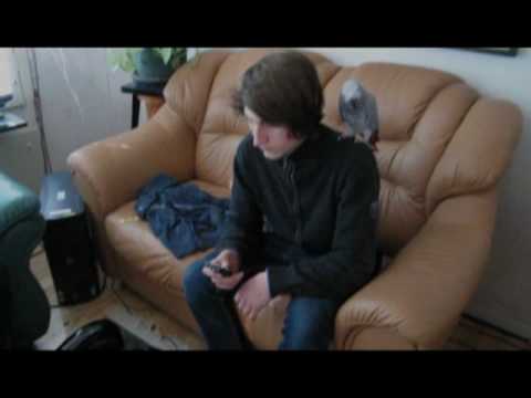 dont drink and drive skuru skola 8a2