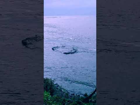 ancud décima región de Chile 🇨🇱🇨🇱🇨🇱🇨🇱🇨🇱👍👍👍