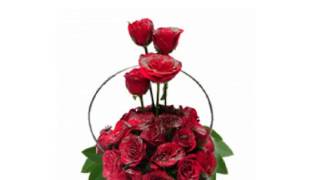 valentine day flowers and cake same day delivery Gifts Surat