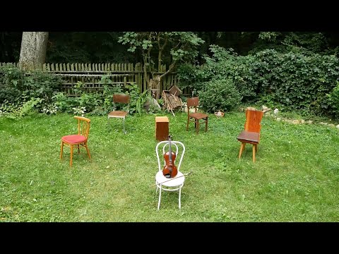 Načarej - Óda na housle