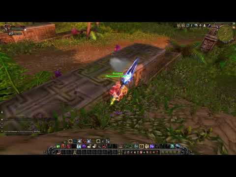 WoW - Level 29 BM Hunter "Pet" Twink World PvP