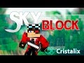 Minecraft: SkyBlock 3ий сезон игр с подписчиками часть 5 "Проблемы с людьми ...