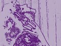 Karen Carpenter DOLO It S Really You
