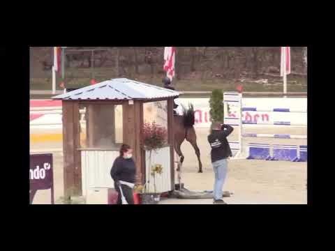 Cleonia - Luhmühlen - 10 April 2021