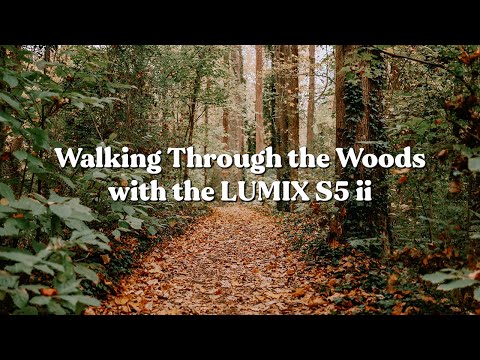 Morning Walk in the Woods with the Lumix S5 ii & 35mm f/1.8