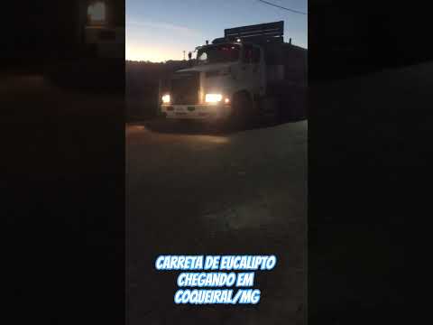 Carreta Carregada de Eucalipto chegando em COQUEIRAL no Sul de Minas Gerais